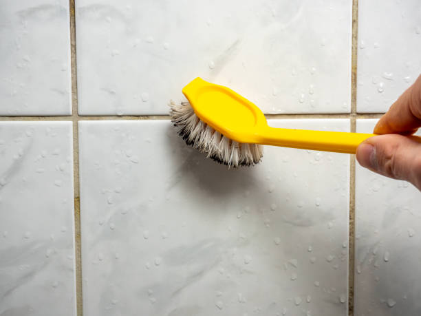 Best DIY Mold Remediation Support Services in Moody, TX