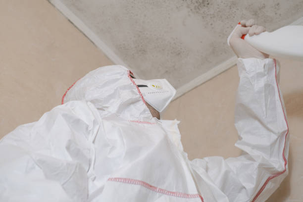 Best Industrial Mold Remediation in Moody, TX