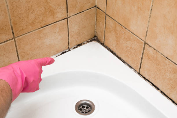 Best Mold Remediation for Specific Building Types in Moody, TX